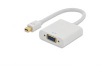 Ednet kabelový adaptér DisplayPort, mini DP samec na HD15 samice (VGA), 0,15 m, Full HD, CE, zlatý, bílý Digitus